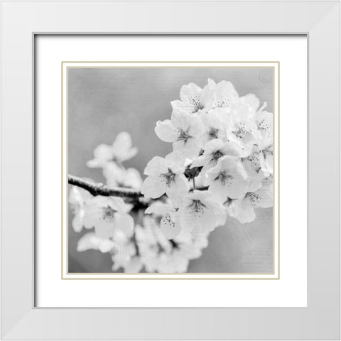 Postcard Magnolia 3 White Modern Wood Framed Art Print with Double Matting by Kimberly, Allen