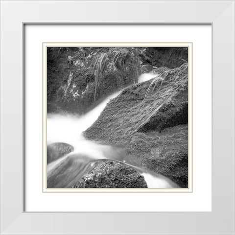 Over the Rocks 3 White Modern Wood Framed Art Print with Double Matting by Kimberly, Allen