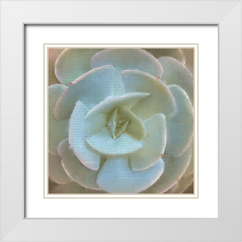 Newspaper Succulent 2 White Modern Wood Framed Art Print with Double Matting by Kimberly, Allen