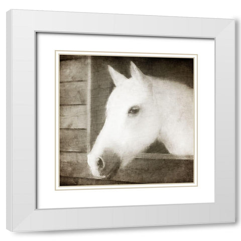 Glory White Modern Wood Framed Art Print with Double Matting by Allen, Kimberly