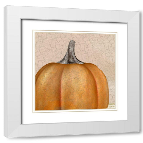 Copper Pumpkin White Modern Wood Framed Art Print with Double Matting by Kimberly, Allen