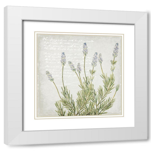 Lavender 2 White Modern Wood Framed Art Print with Double Matting by Kimberly, Allen
