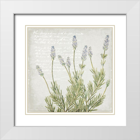 Lavender 2 White Modern Wood Framed Art Print with Double Matting by Kimberly, Allen