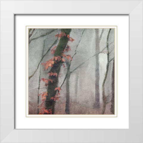 Fall Mood White Modern Wood Framed Art Print with Double Matting by Kimberly, Allen