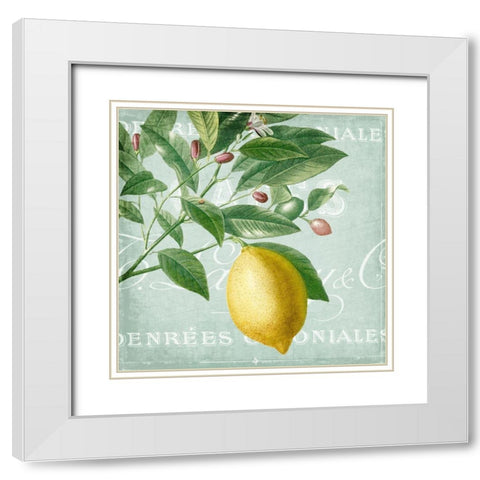 Lemon Drop 1 White Modern Wood Framed Art Print with Double Matting by Kimberly, Allen