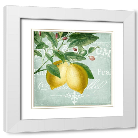 Lemon Drop 2 White Modern Wood Framed Art Print with Double Matting by Kimberly, Allen