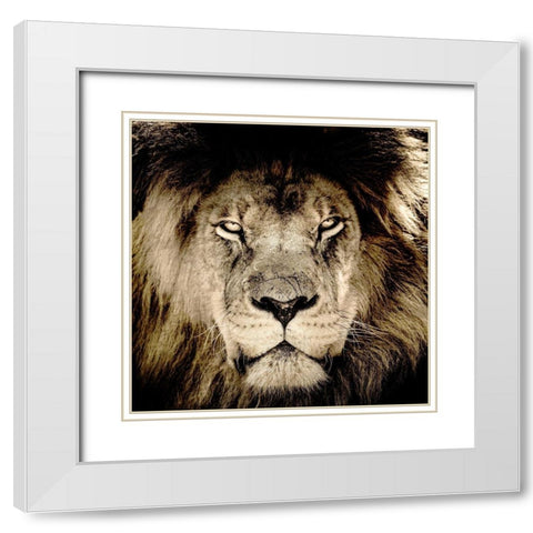 Gaze White Modern Wood Framed Art Print with Double Matting by Kimberly, Allen