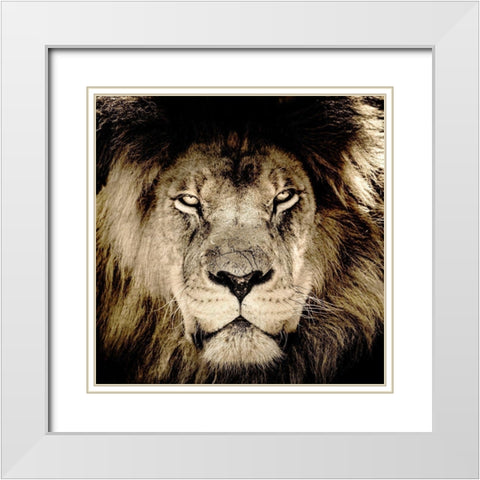 Gaze White Modern Wood Framed Art Print with Double Matting by Kimberly, Allen