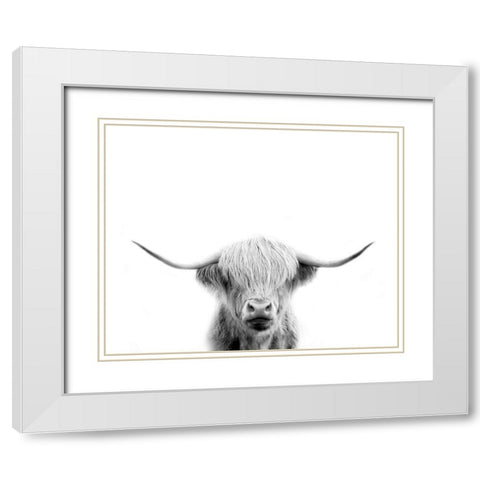 Scottish Cow White Modern Wood Framed Art Print with Double Matting by Straatsma, Leah