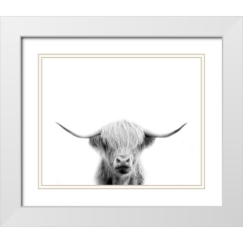 Scottish Cow White Modern Wood Framed Art Print with Double Matting by Straatsma, Leah