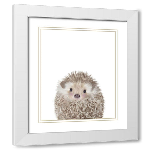 Hedgehog White Modern Wood Framed Art Print with Double Matting by Straatsma, Leah
