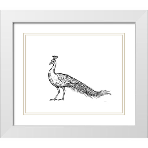 Black Peacock White Modern Wood Framed Art Print with Double Matting by Straatsma, Leah