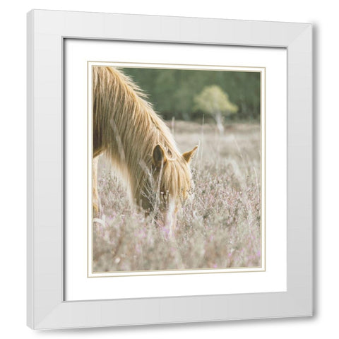 Golden Horse In Meadow White Modern Wood Framed Art Print with Double Matting by Straatsma, Leah