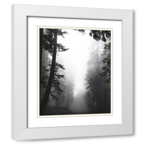 Misty Path White Modern Wood Framed Art Print with Double Matting by Straatsma, Leah