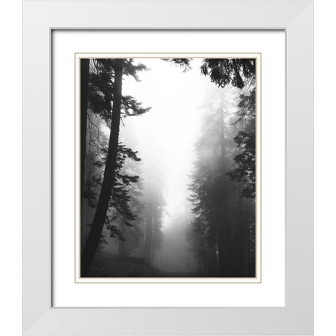 Misty Path White Modern Wood Framed Art Print with Double Matting by Straatsma, Leah