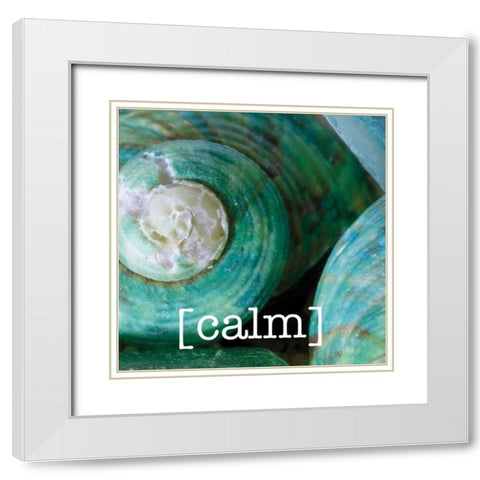 Calming Shells White Modern Wood Framed Art Print with Double Matting by Hogan, Melody