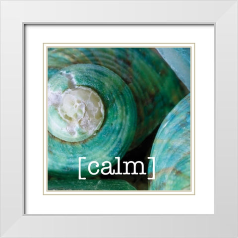 Calming Shells White Modern Wood Framed Art Print with Double Matting by Hogan, Melody
