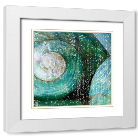 Tropical Shells White Modern Wood Framed Art Print with Double Matting by Hogan, Melody