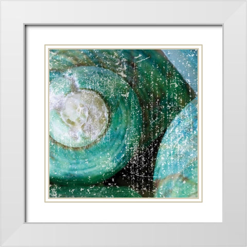Tropical Shells White Modern Wood Framed Art Print with Double Matting by Hogan, Melody