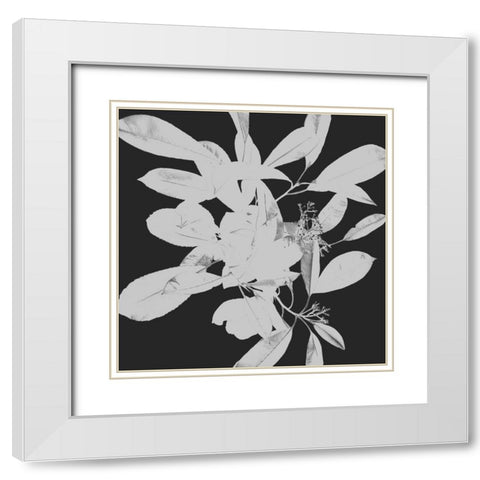 Botanical Dark 1 White Modern Wood Framed Art Print with Double Matting by Hogan, Melody