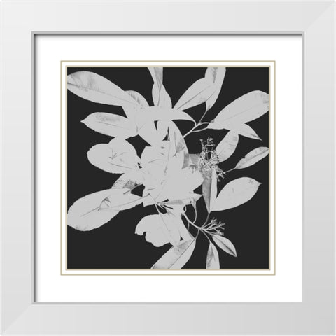 Botanical Dark 1 White Modern Wood Framed Art Print with Double Matting by Hogan, Melody