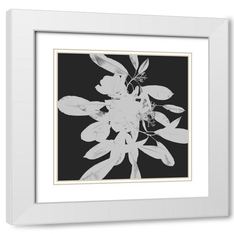 Botanical Dark 2 White Modern Wood Framed Art Print with Double Matting by Hogan, Melody