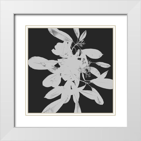 Botanical Dark 2 White Modern Wood Framed Art Print with Double Matting by Hogan, Melody
