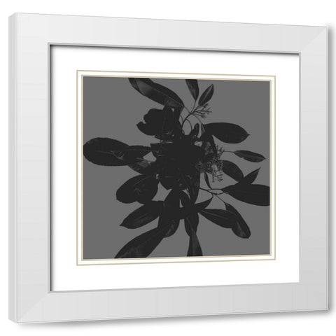 Botanical Light 1 White Modern Wood Framed Art Print with Double Matting by Hogan, Melody
