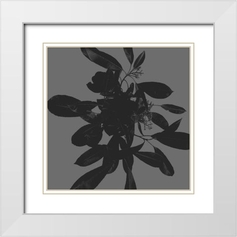 Botanical Light 1 White Modern Wood Framed Art Print with Double Matting by Hogan, Melody