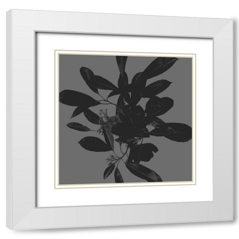 Botanical Light 2 White Modern Wood Framed Art Print with Double Matting by Hogan, Melody