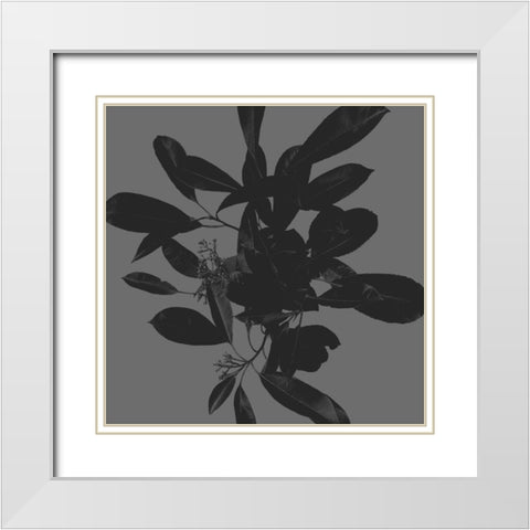 Botanical Light 2 White Modern Wood Framed Art Print with Double Matting by Hogan, Melody