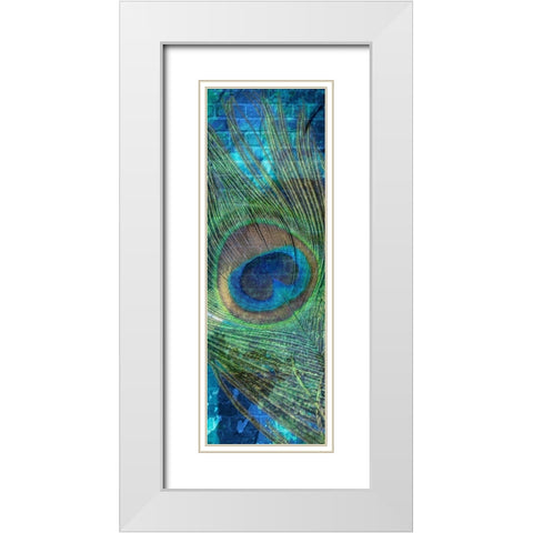 Urban Peacock 1 White Modern Wood Framed Art Print with Double Matting by Prime, Marcus