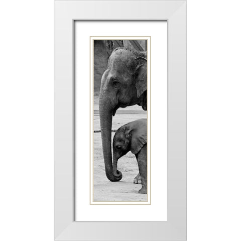 Mothers Love White Modern Wood Framed Art Print with Double Matting by Prime, Marcus