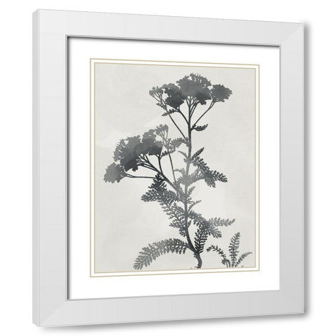 Shadowed Botanical White Modern Wood Framed Art Print with Double Matting by Prime, Marcus