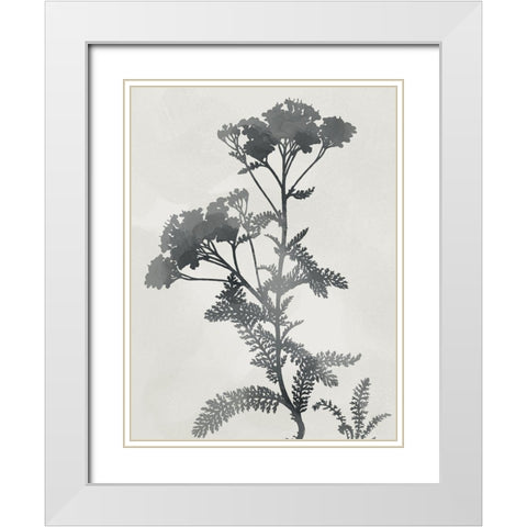 Shadowed Botanical White Modern Wood Framed Art Print with Double Matting by Prime, Marcus