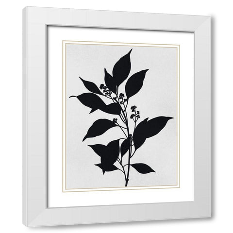 Silhouetted Inverted Growth White Modern Wood Framed Art Print with Double Matting by Prime, Marcus