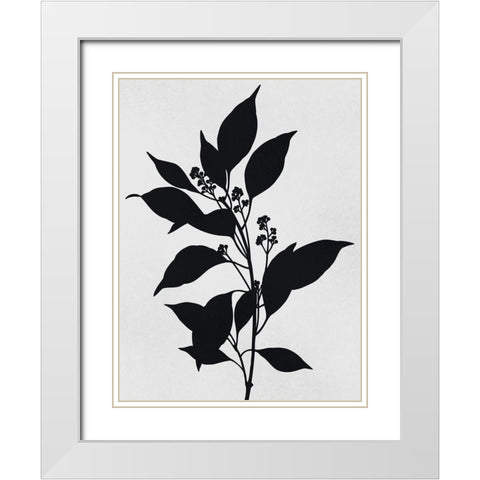 Silhouetted Inverted Growth White Modern Wood Framed Art Print with Double Matting by Prime, Marcus
