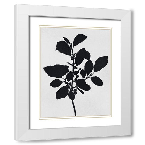 Silhouetted Inverted Growth 2 White Modern Wood Framed Art Print with Double Matting by Prime, Marcus