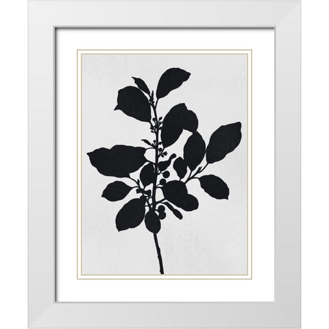 Silhouetted Inverted Growth 2 White Modern Wood Framed Art Print with Double Matting by Prime, Marcus