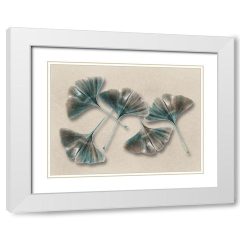 Aged Brass Ginkos 1 White Modern Wood Framed Art Print with Double Matting by Prime, Marcus