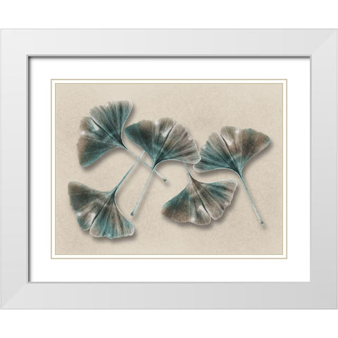 Aged Brass Ginkos 1 White Modern Wood Framed Art Print with Double Matting by Prime, Marcus