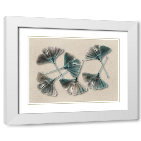 Aged Brass Ginkos 2 White Modern Wood Framed Art Print with Double Matting by Prime, Marcus
