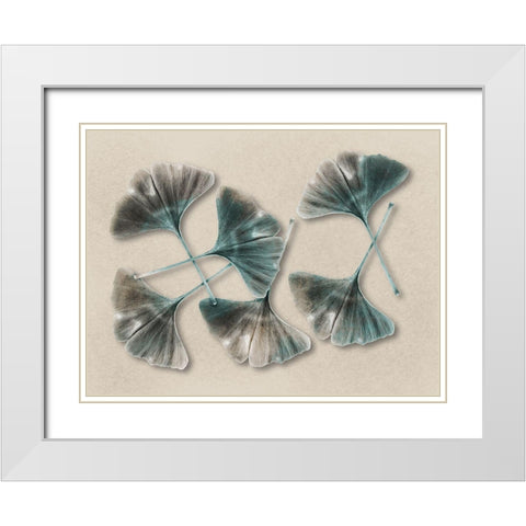 Aged Brass Ginkos 2 White Modern Wood Framed Art Print with Double Matting by Prime, Marcus