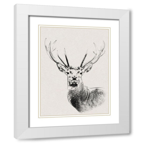 Wilderness Stare White Modern Wood Framed Art Print with Double Matting by Prime, Marcus