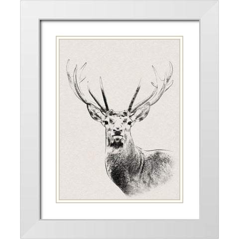 Wilderness Stare White Modern Wood Framed Art Print with Double Matting by Prime, Marcus