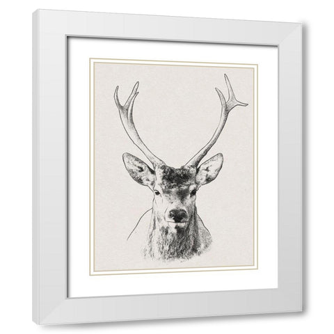 Wilderness Stare 2 White Modern Wood Framed Art Print with Double Matting by Prime, Marcus