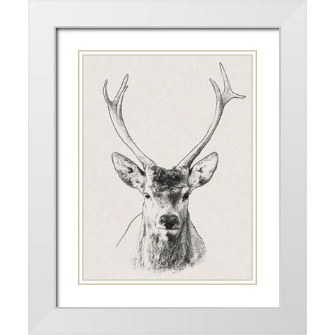 Wilderness Stare 2 White Modern Wood Framed Art Print with Double Matting by Prime, Marcus