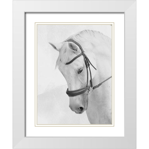 Praying Steed White Modern Wood Framed Art Print with Double Matting by Prime, Marcus