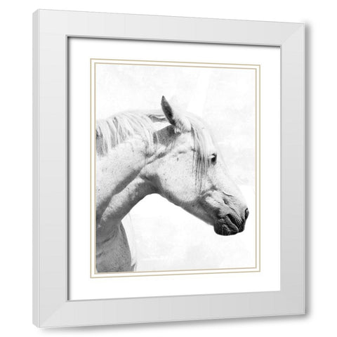 Praying Steed 2 White Modern Wood Framed Art Print with Double Matting by Prime, Marcus