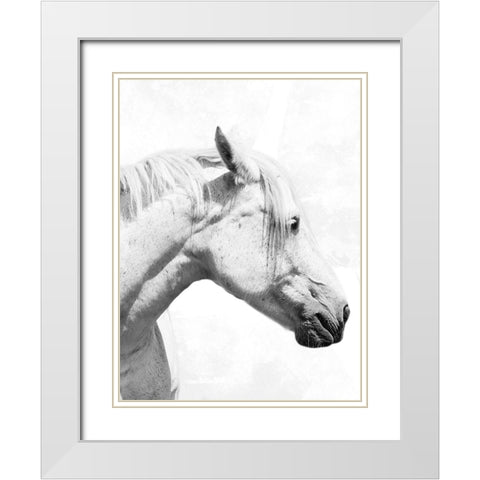 Praying Steed 2 White Modern Wood Framed Art Print with Double Matting by Prime, Marcus